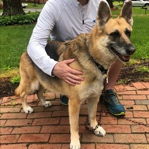 Meet your Posher, Mel